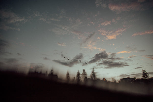 "FLYING HOME" Mooloolaba, Queensland, Australia